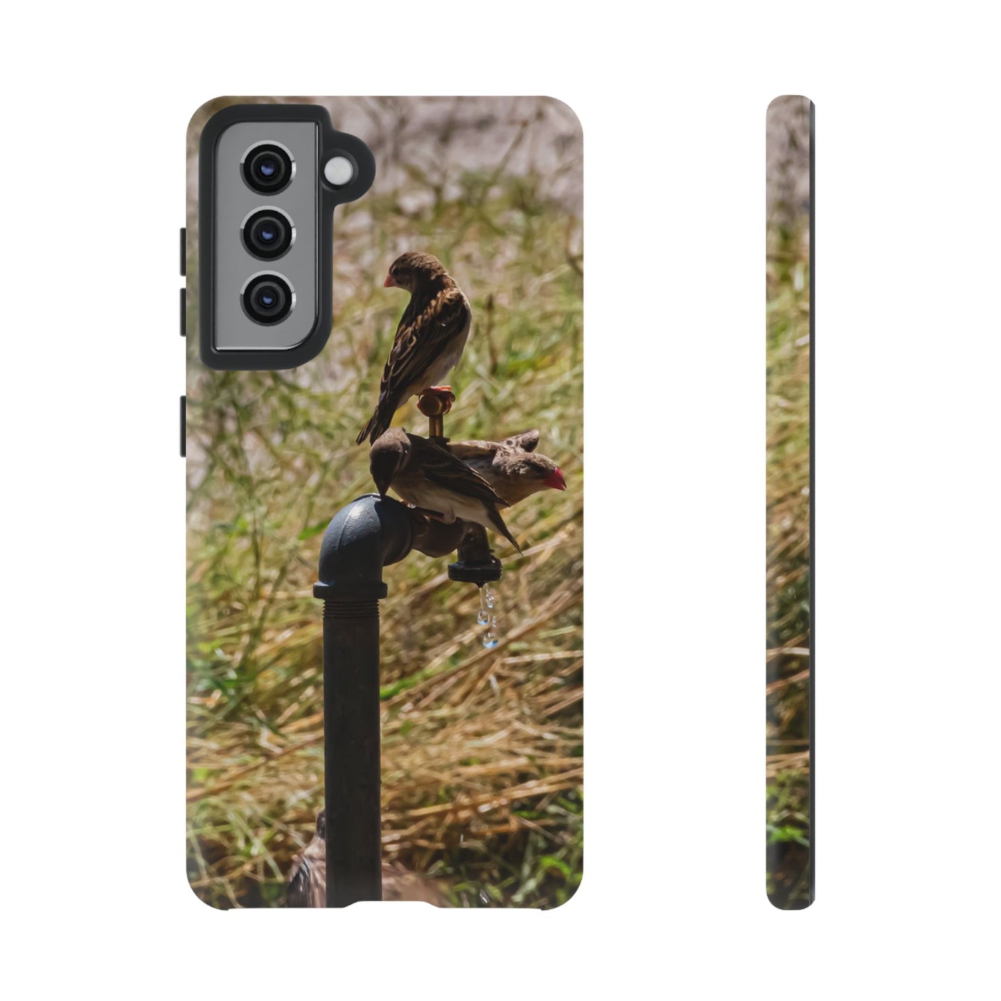 Tough Case - Birds at A Dripping Tap Samsung Galaxy S21 Matte