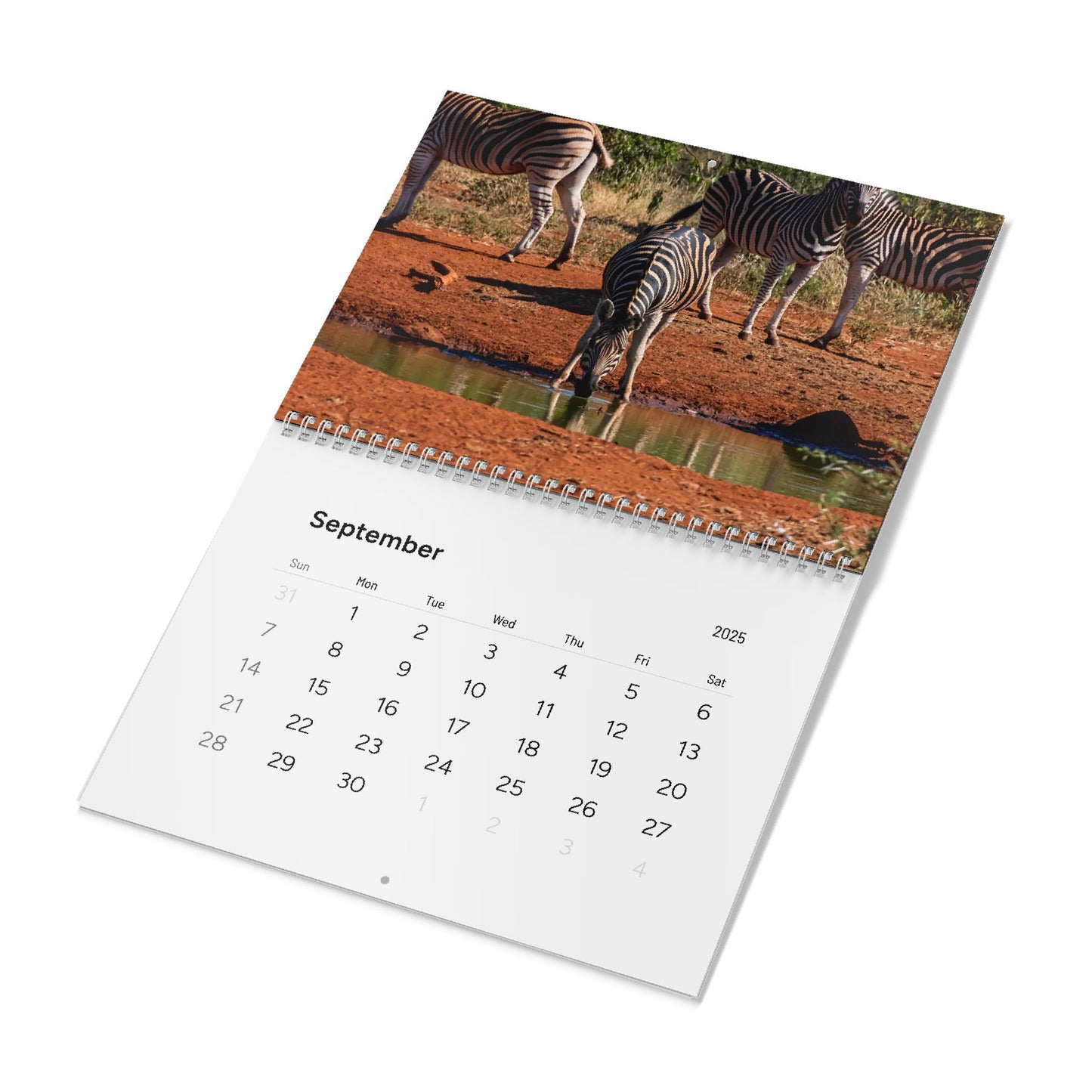 2025 Nature Wildlife Wall Calendar