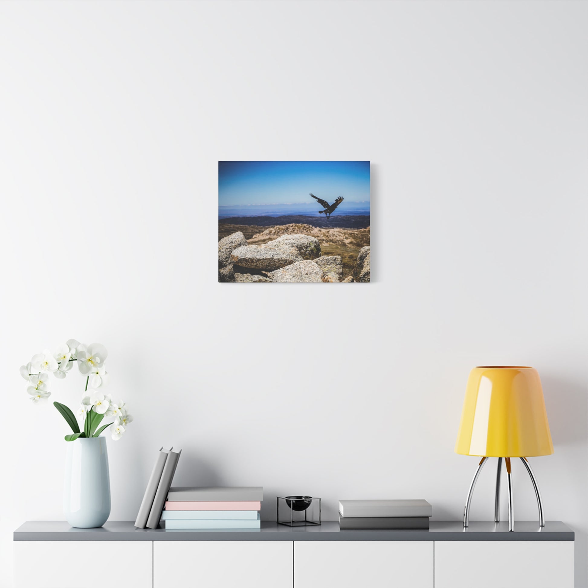 Little Raven Mt Kosciuszko Canvas Print