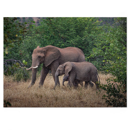 Jigsaw Puzzle (30, 110, 252, 500, 1000 Piece) - Elephant Family