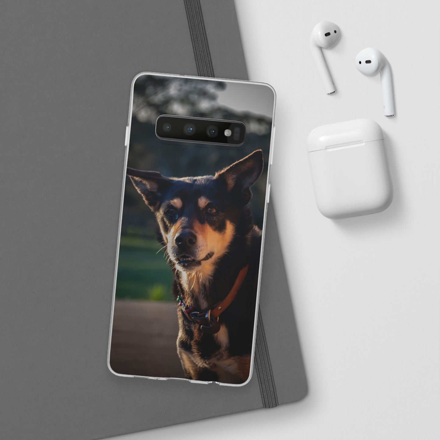 Flexi Cases - Saba the Kelpie