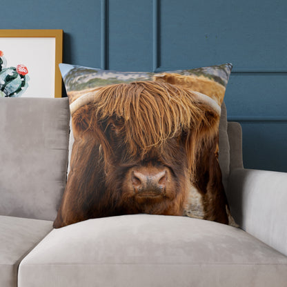 Highland Cattle Pillow