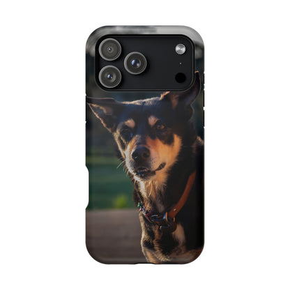 Magsafe® Compatible Tough Cases - Saba The Kelpie iPhone 17 Pro Max Matte