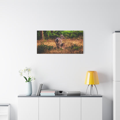 Waterbuck Nature Prints Matte Canvas