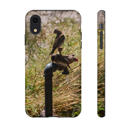 Tough Case - Birds at A Dripping Tap iPhone XR Glossy