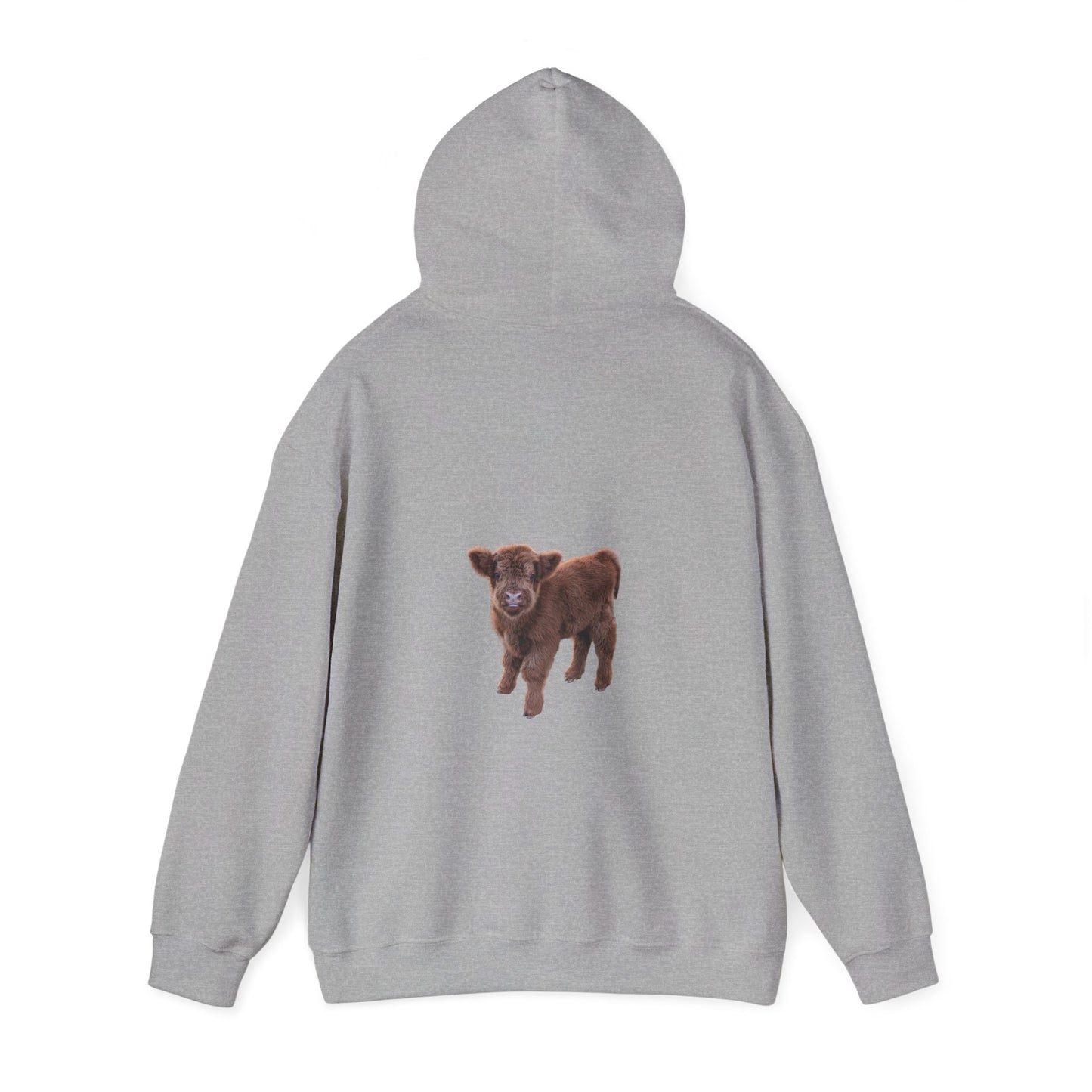 Highland Calf Hoodie