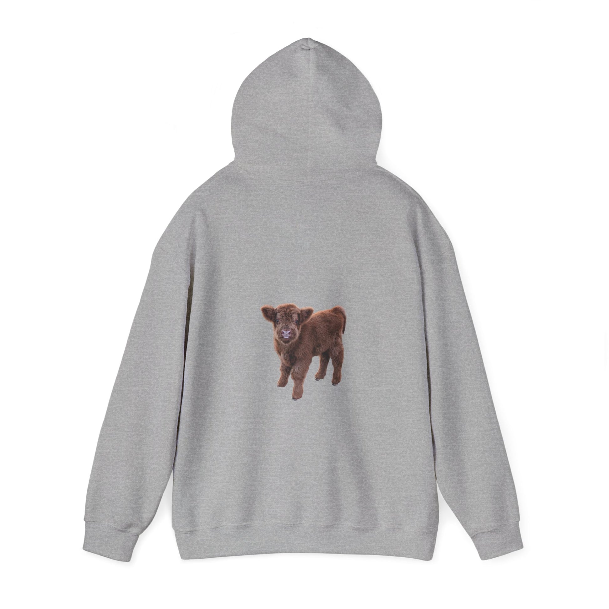 Highland Calf Hoodie