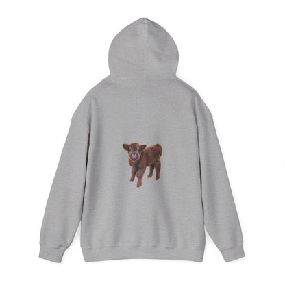Highland Calf Hoodie