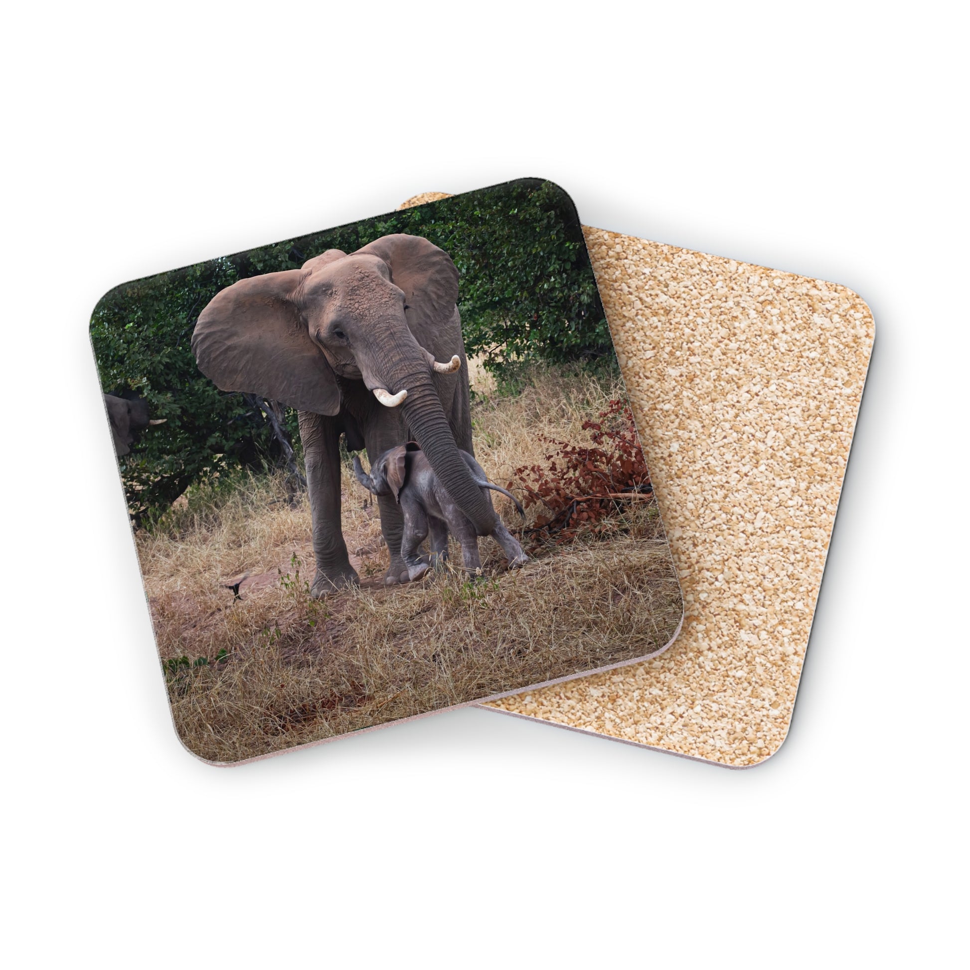 Calf Drinking Elephant Coasters