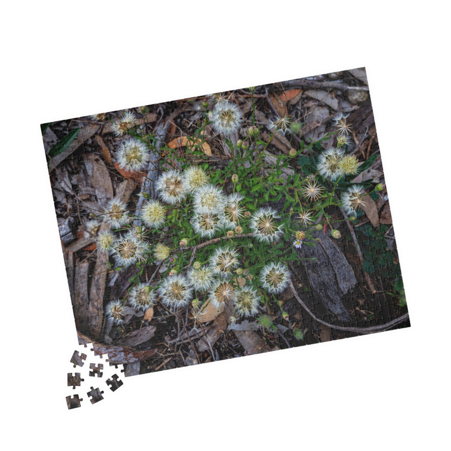 Puzzle (110, 252, 520, 1014-piece) - Australian Wildflower Collection