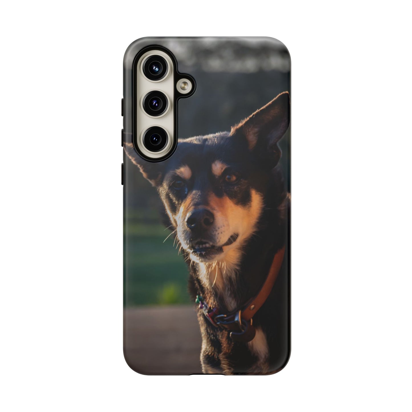 Tough Case - Saba the Kelpie Samsung Galaxy S24 Plus Matte