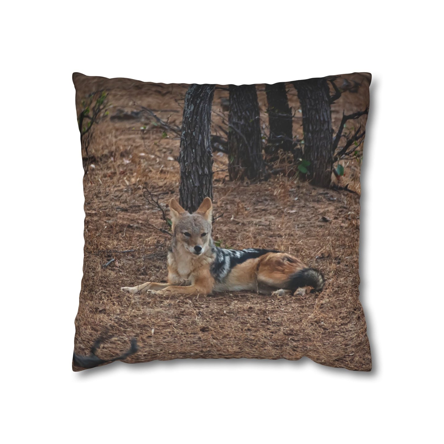 Poly Canvas Pillowcase - Jackal 18" × 18"