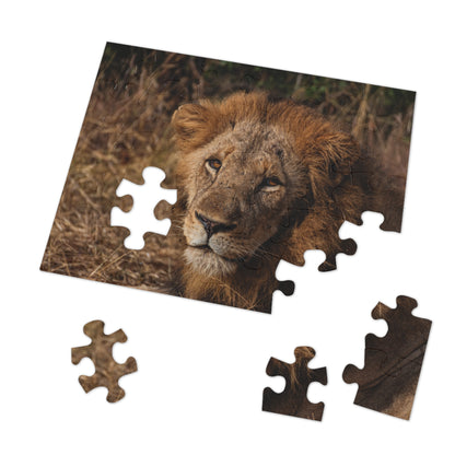 Jigsaw Puzzle (30, 110, 252, 500, 1000 Piece) - Old Lion