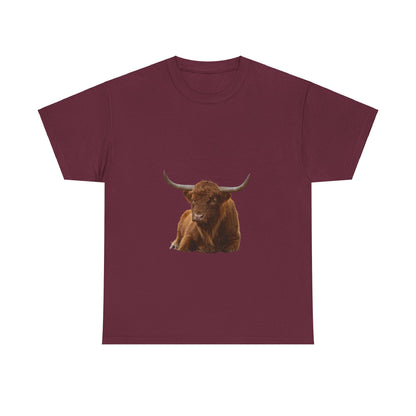 Highland Cattle Tee Maroon