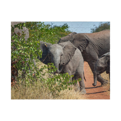 Young Elephant Jigsaw Puzzle 252 pcs (Horizontal)