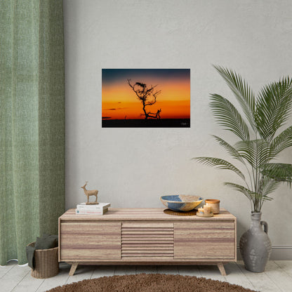 Rolled Posters - Sunset over the Kalahari 30″ x 20″ (Horizontal) Semi Glossy