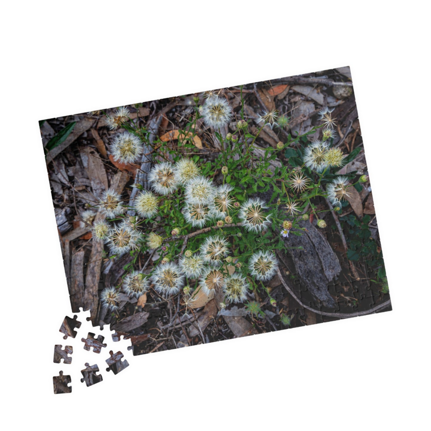 Australian Wildflower Jigsaw Puzzle