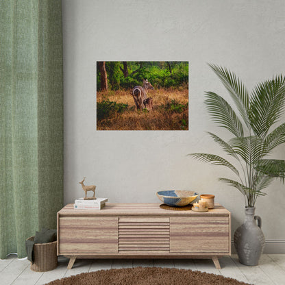 Rolled Posters - Waterbuck and Baby 32" x 24" (Horizontal) Matte