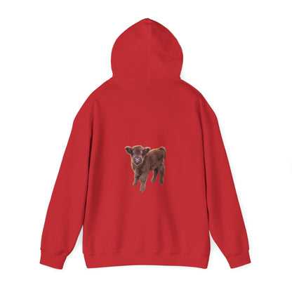 Highland Calf Hoodie
