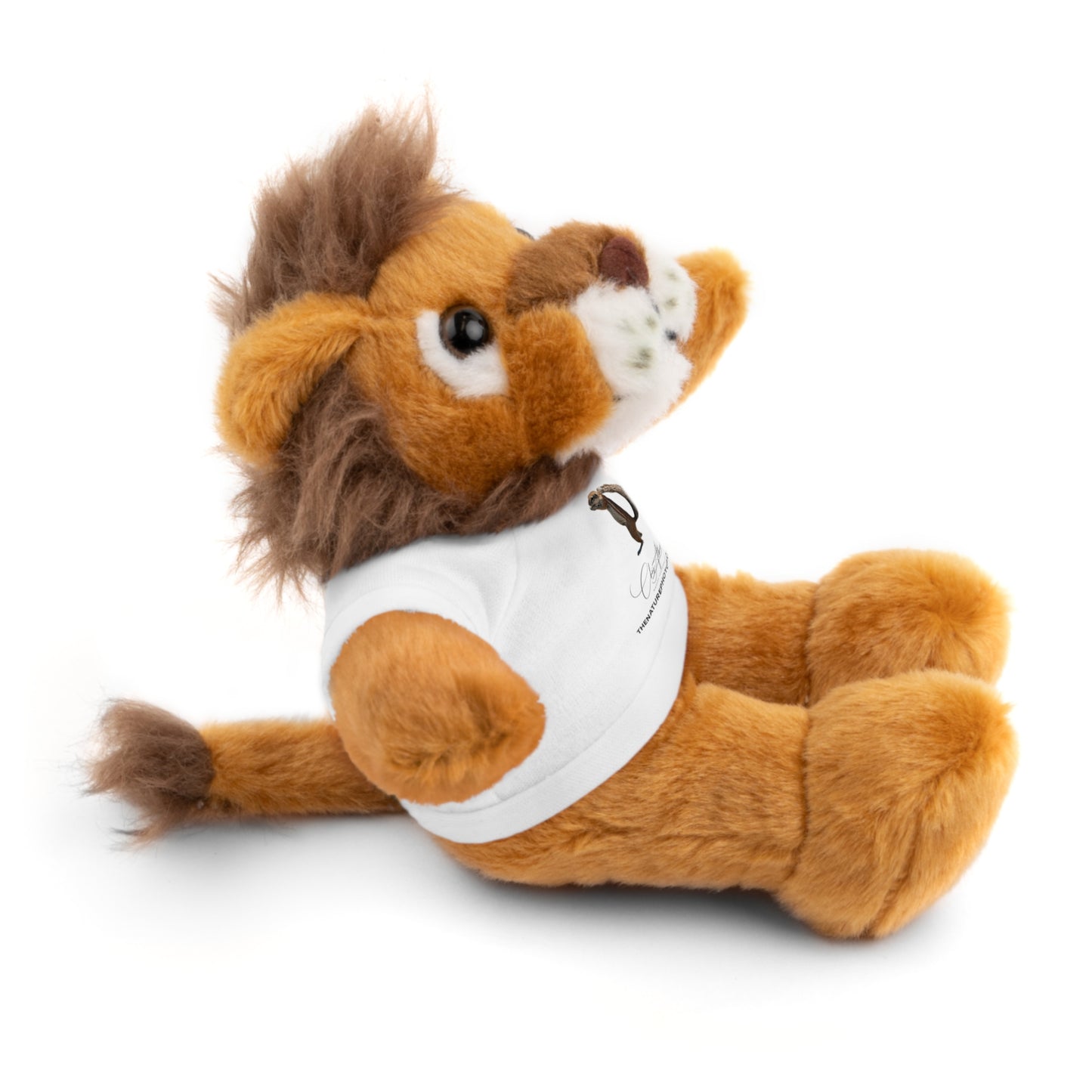 Teddy Lion with Tee