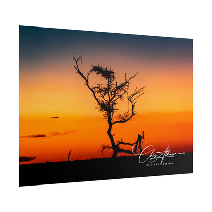 Rolled Posters - Sunset over the Kalahari