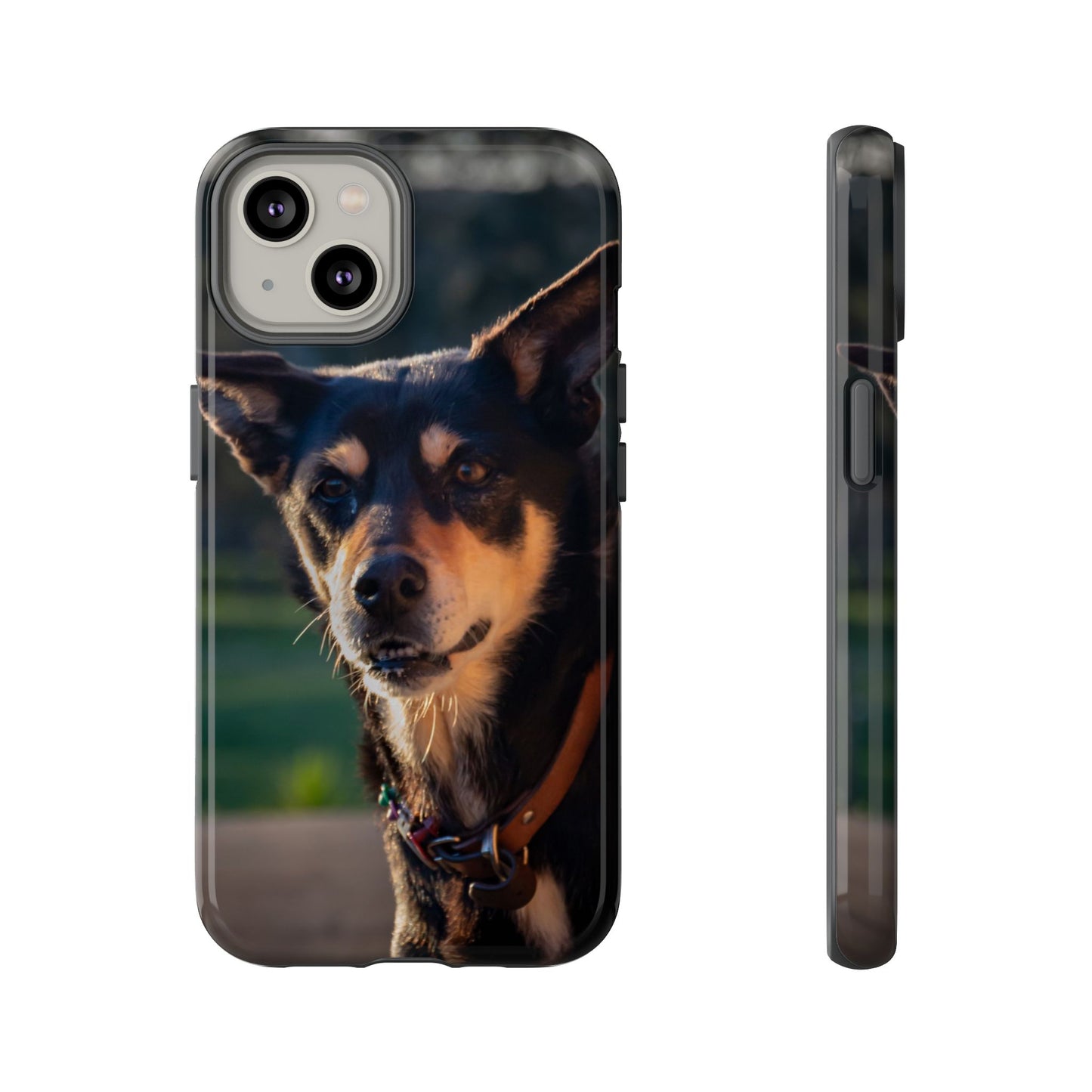 Tough Case - Saba the Kelpie iPhone 14 Glossy