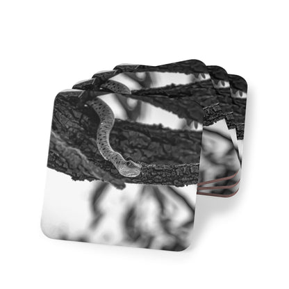 Spotted Bush Snake Coasters B&W Square 3.7" x 3.7" 4pcs