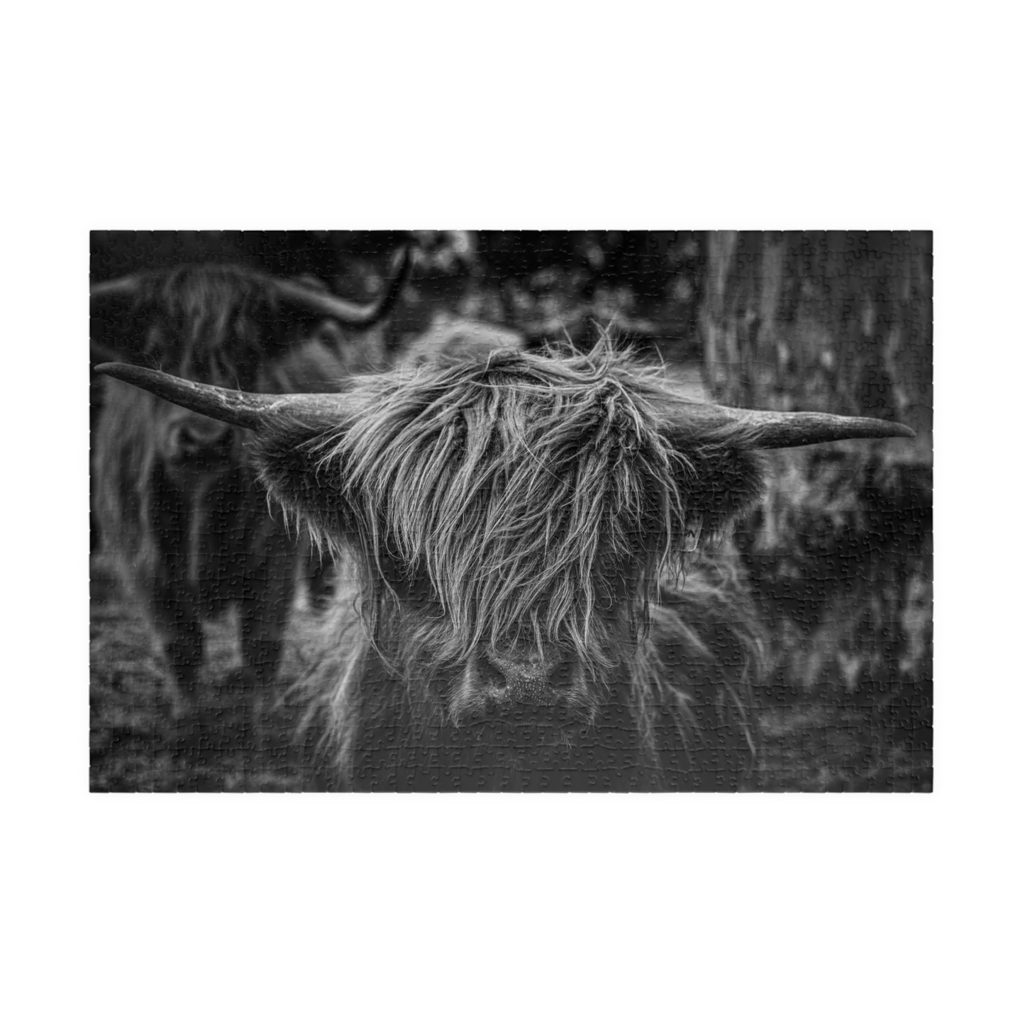 Scottish Highland Cattle Puzzle B&W