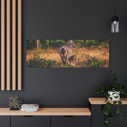 Waterbuck Nature Prints Matte Canvas