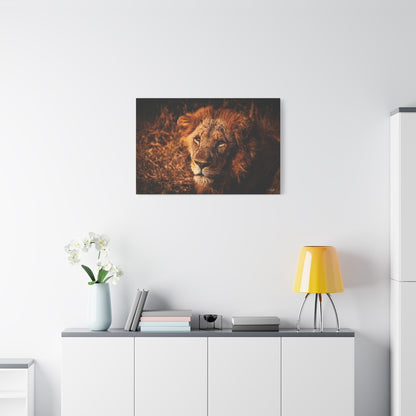 Old Lion Canvas Print