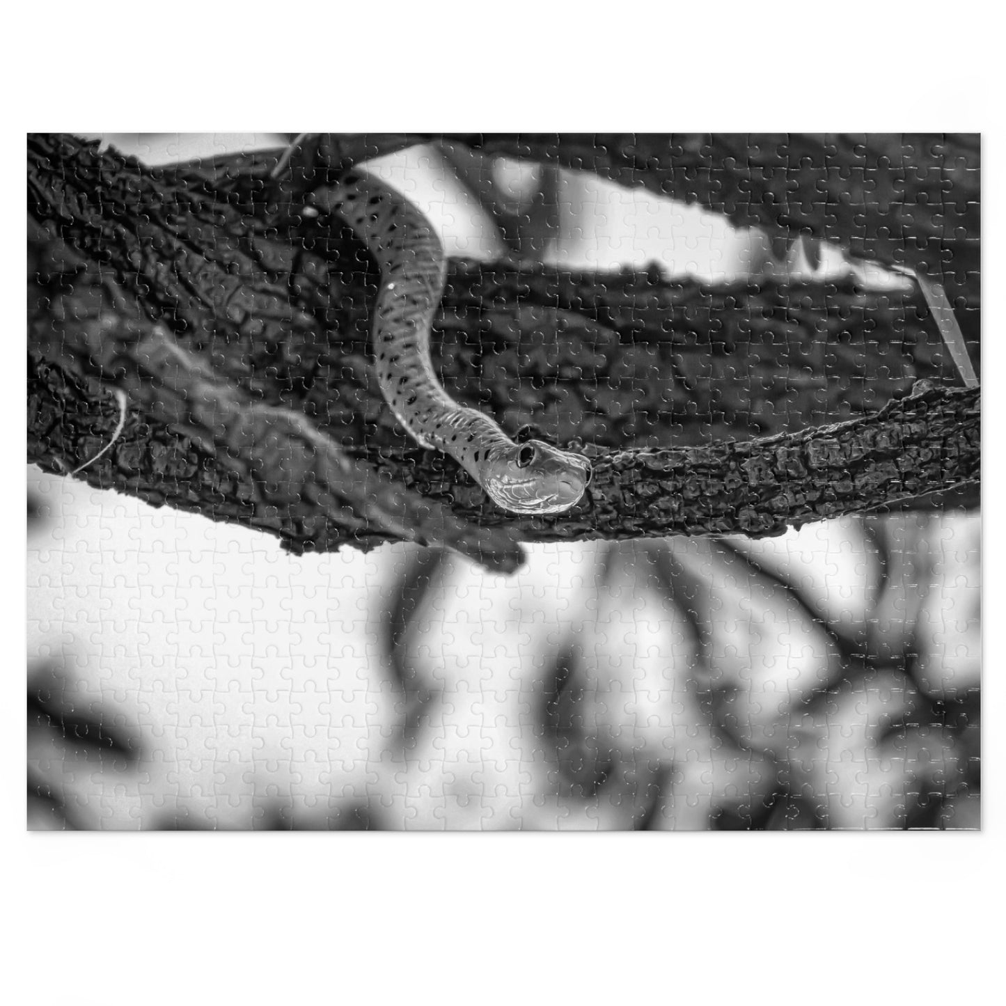 Spotted Bush Snake Puzzle with Tin B&W 21" × 15.5" (500 pcs)