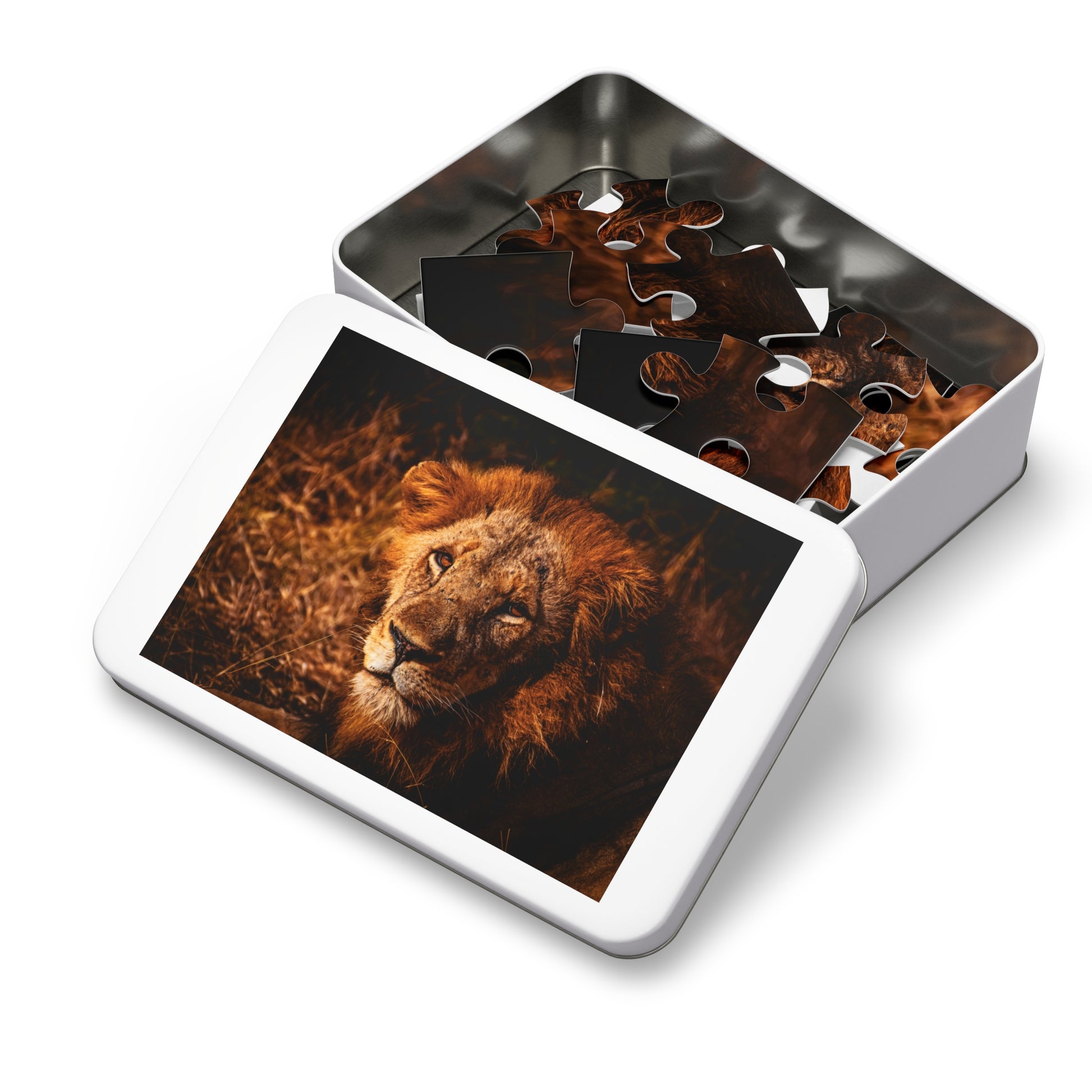 Majestic Old Lion Jigsaw Puzzle with Tin