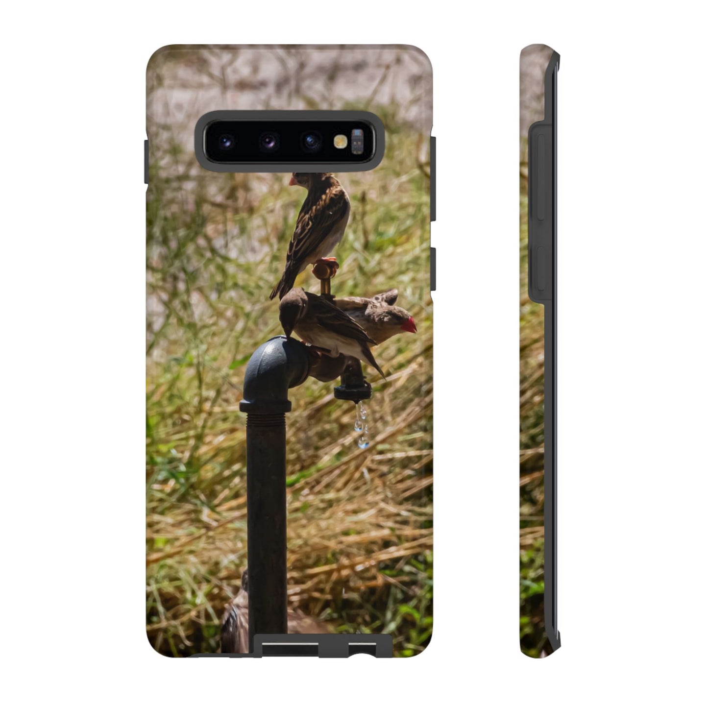 Tough Case - Birds at A Dripping Tap Samsung Galaxy S10 Plus Glossy