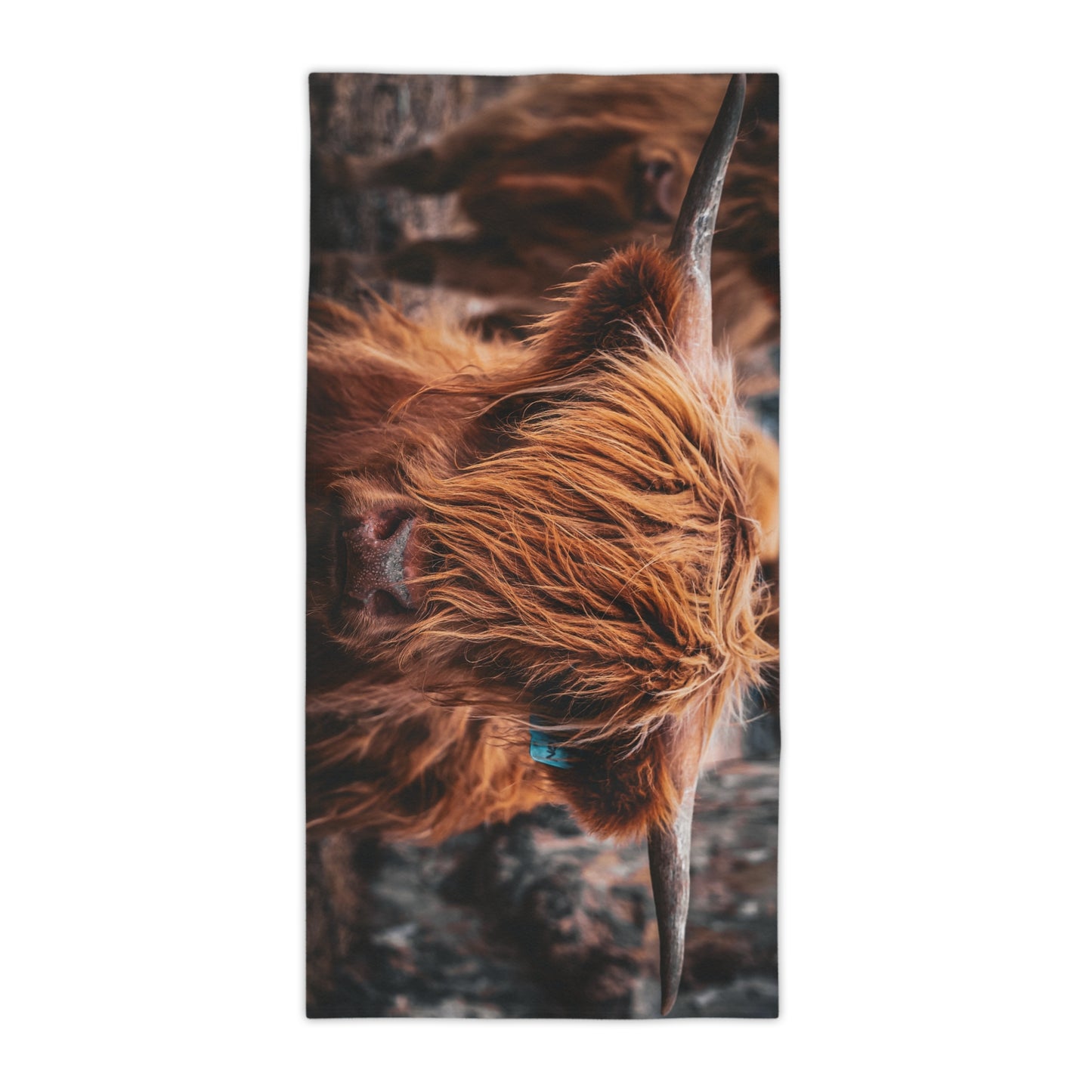 Scottish Highland Beach Towels