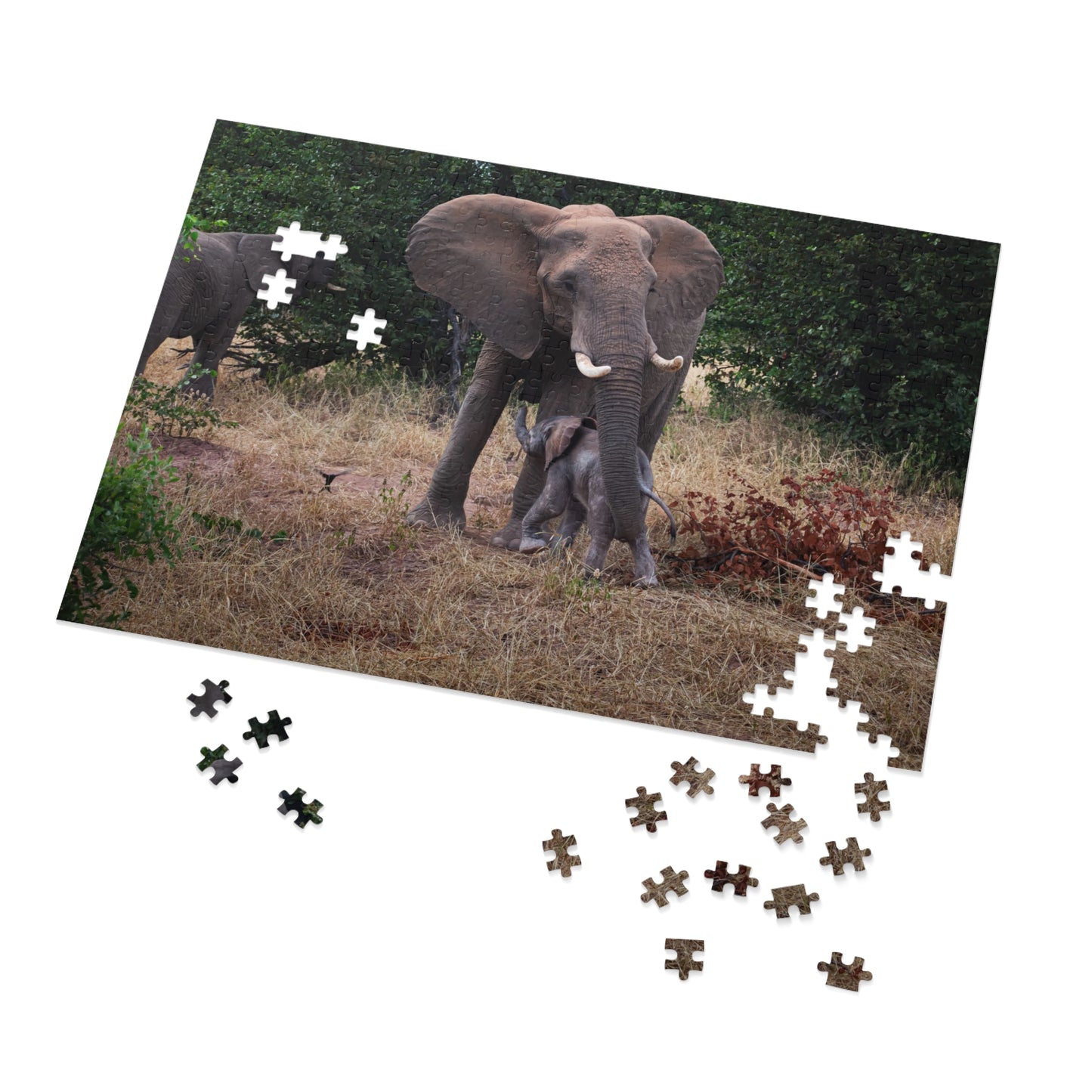 Jigsaw Puzzle (30, 110, 252, 500, 1000 Piece) - Elephant and Calf