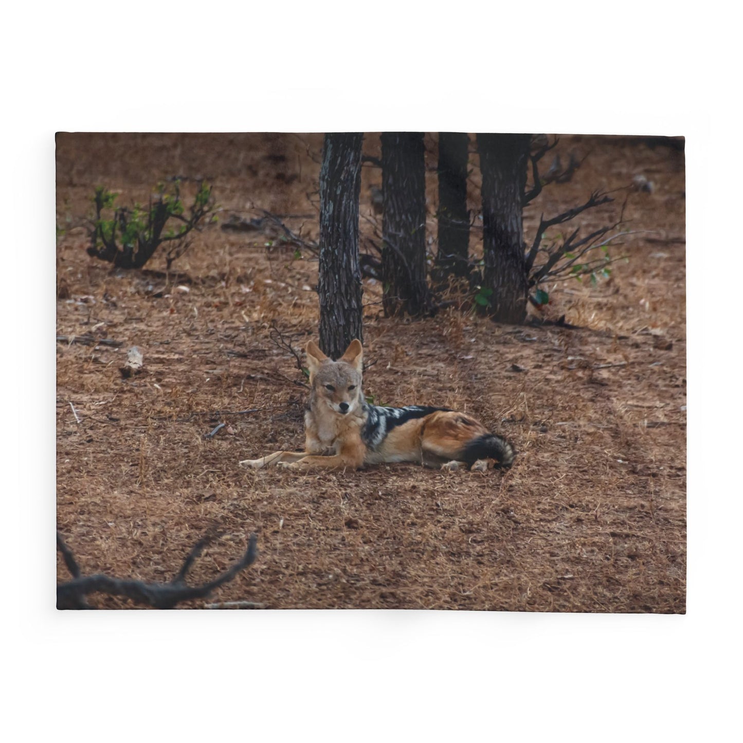 Arctic Fleece Blanket - Jackal