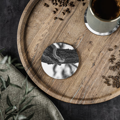 Spotted Bush Snake Coasters B&W