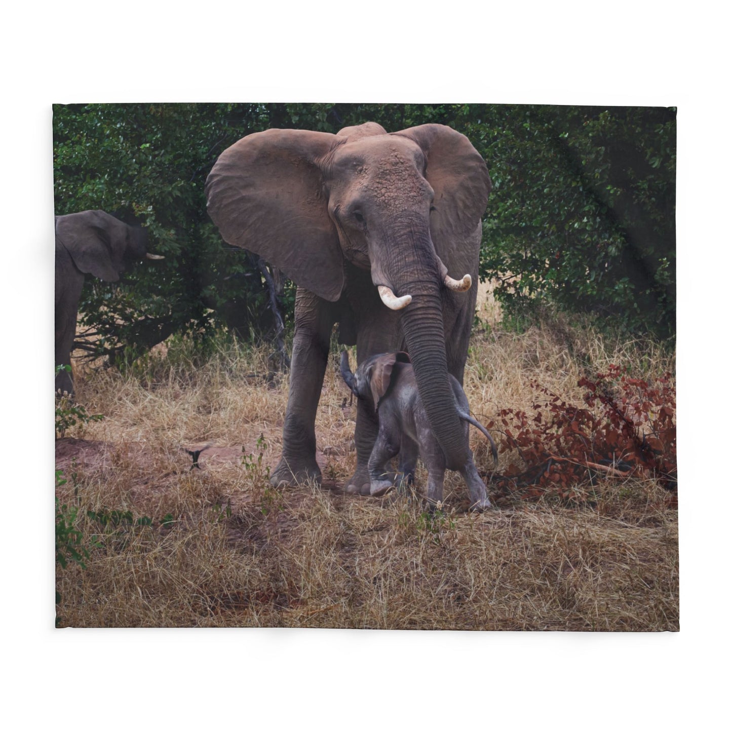 Arctic Fleece Blanket - Elephant and Baby