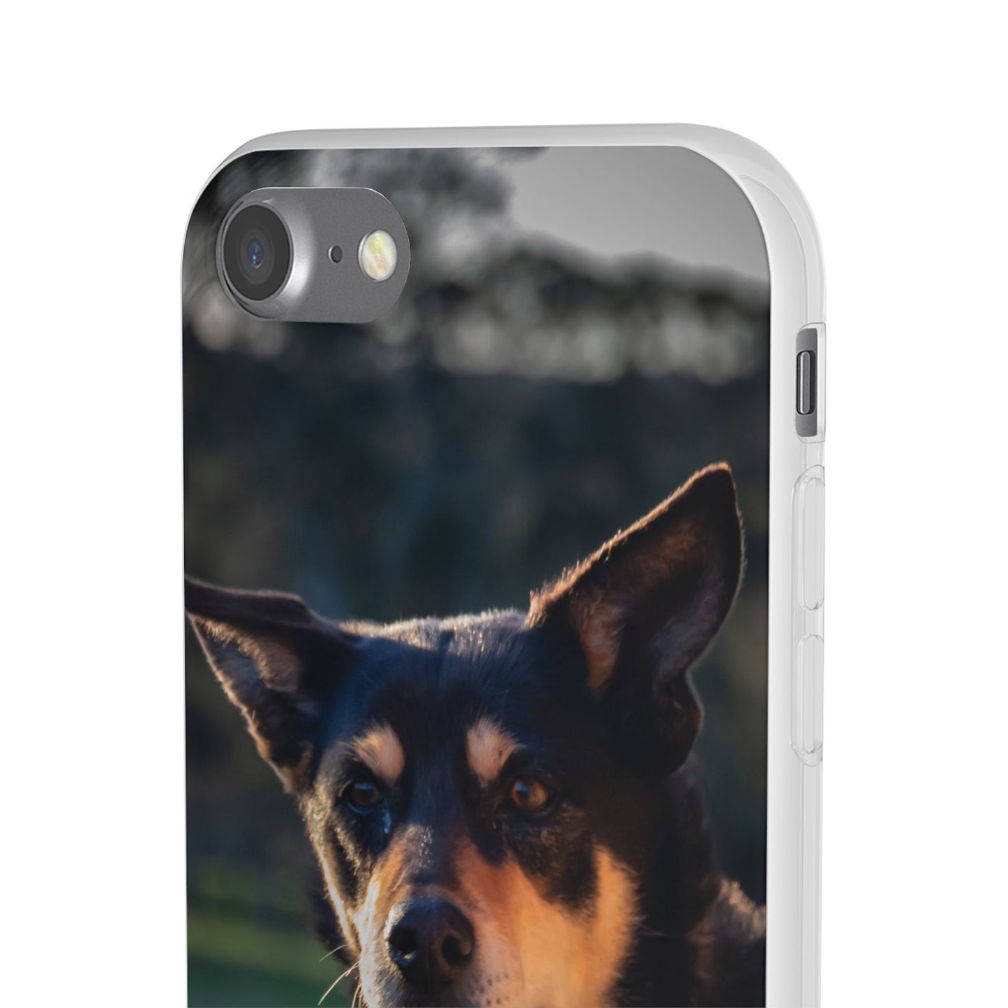 Flexi Cases - Saba the Kelpie