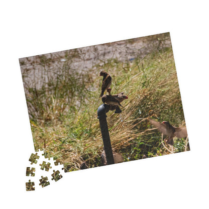 African Birds Jigsaw Puzzle