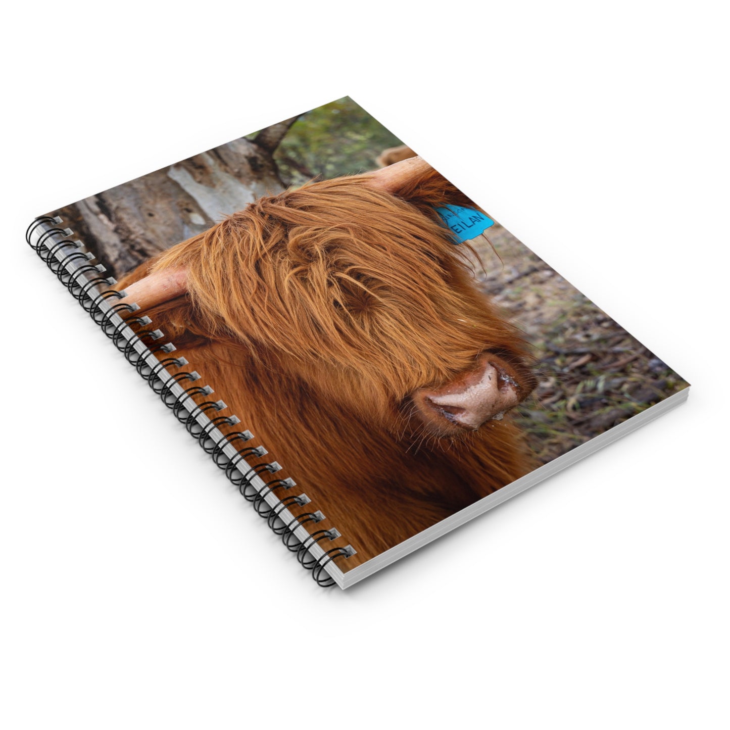 Spiral Notebook - Ruled Line - Scottish Highland Cattle