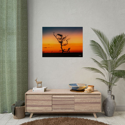 Rolled Posters - Sunset over the Kalahari 32" x 24" (Horizontal) Semi Glossy