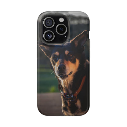Magsafe® Compatible Tough Cases - Saba The Kelpie iPhone 15 Pro Matte