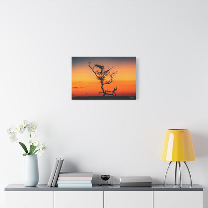 Matte Canvas, Stretched, 1.25" - Sunset over the Kalahari