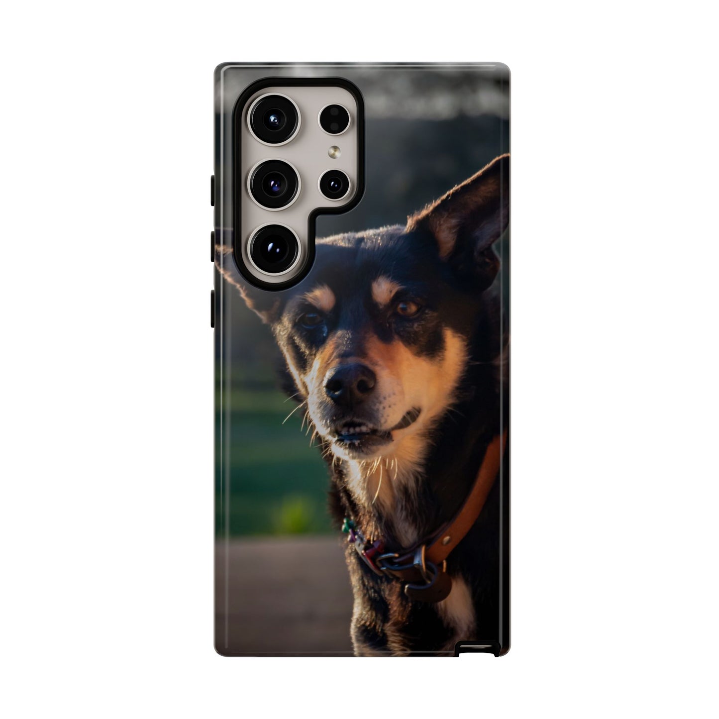 Tough Case - Saba the Kelpie Samsung Galaxy S24 Ultra Glossy