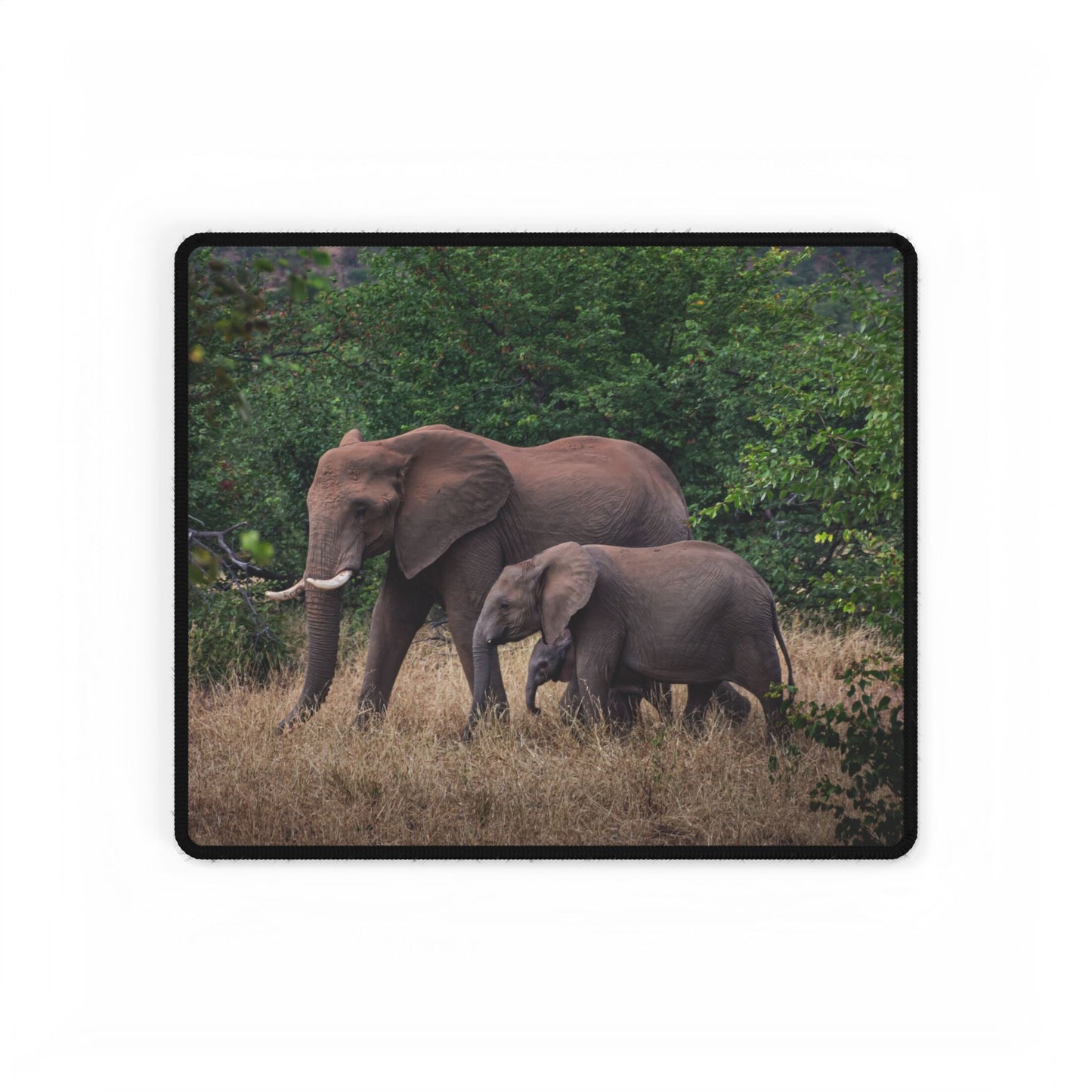 Desk Mats - Elephant Family