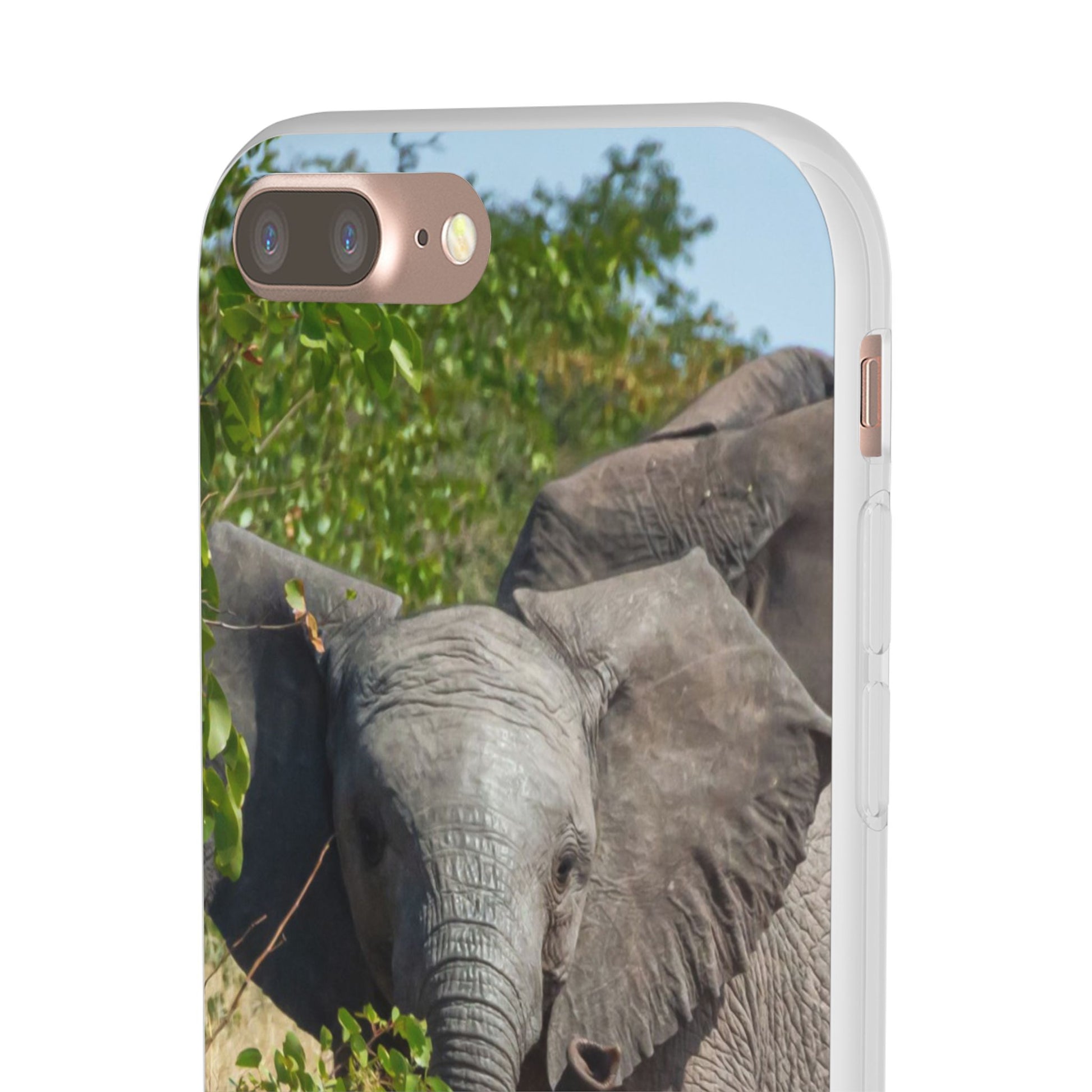 Flexi Cases - Young Elephant