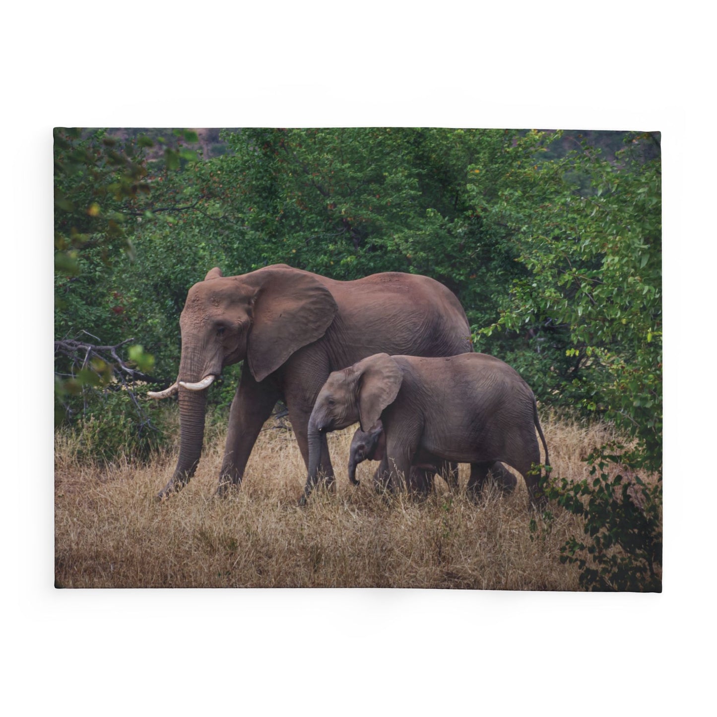 Arctic Fleece Blanket - Elephant Family