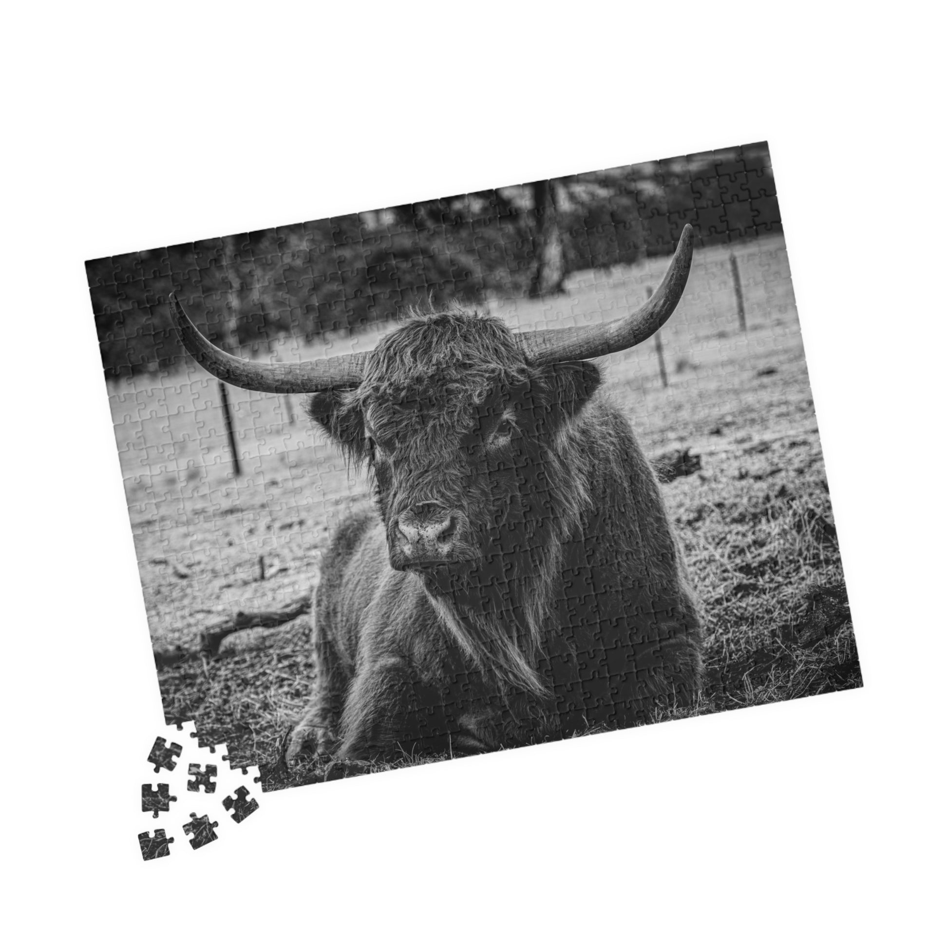 Scottish Highland Cattle Puzzle B&W