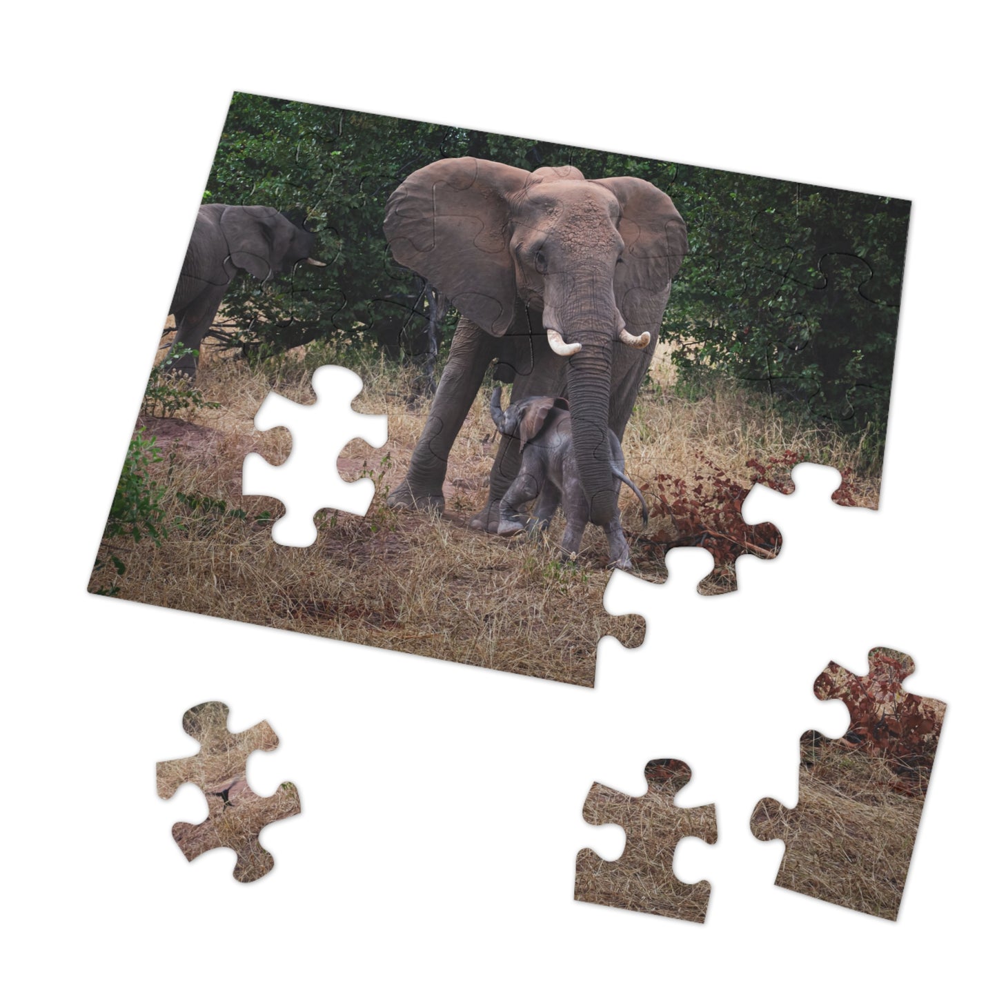 Jigsaw Puzzle (30, 110, 252, 500, 1000 Piece) - Elephant and Calf